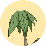 汎用型自走式パキラ